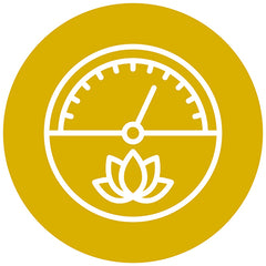 Convert Fat Into Usable Energy